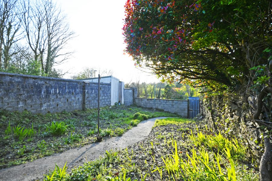 6_Back Garden