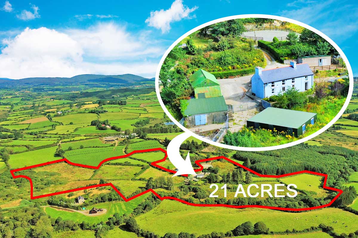 Farmland for sale at Drimoleague Skibbereen West Cork