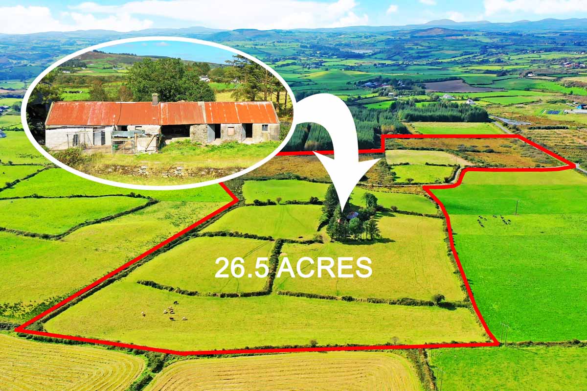farm for sale at tullig leap