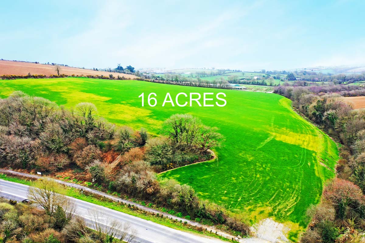 1_Curranure Available for 2 cuts of silage