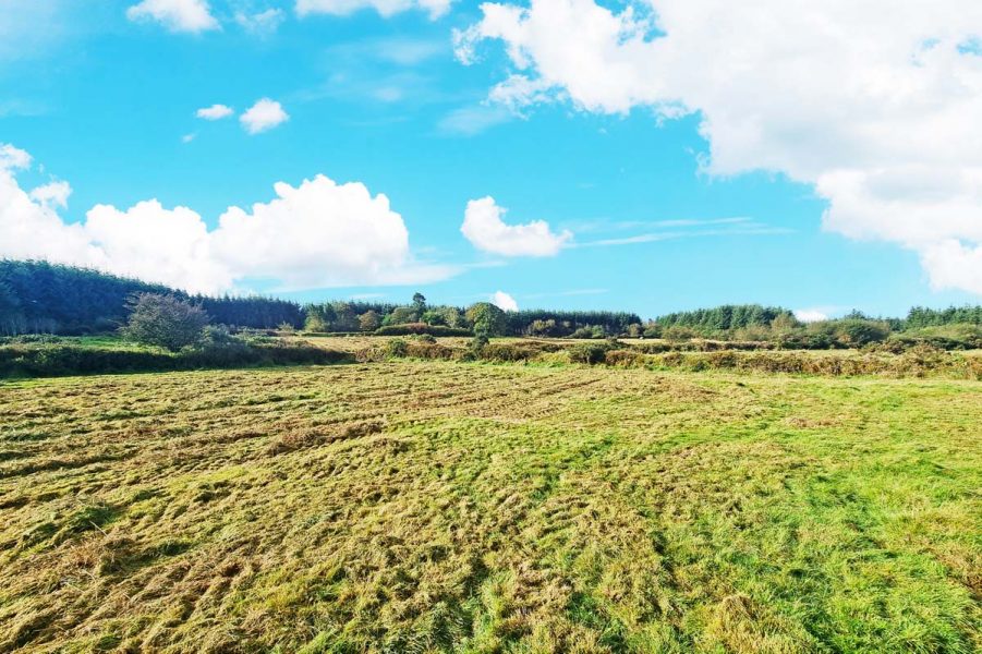 10_Extra Land