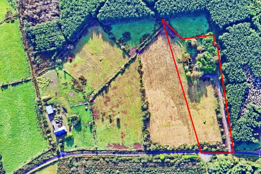 11_Overhead View