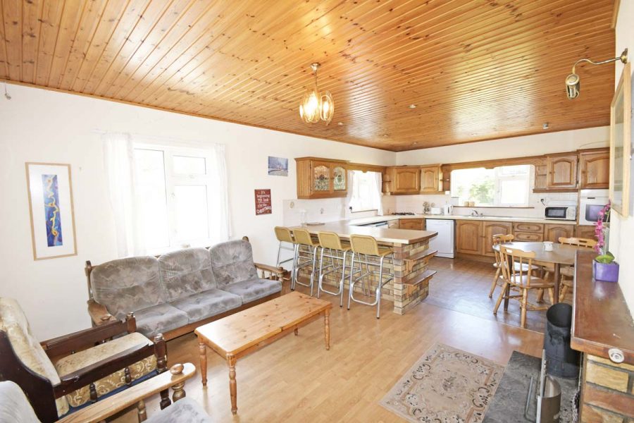 13_Living Dining Kitchen area