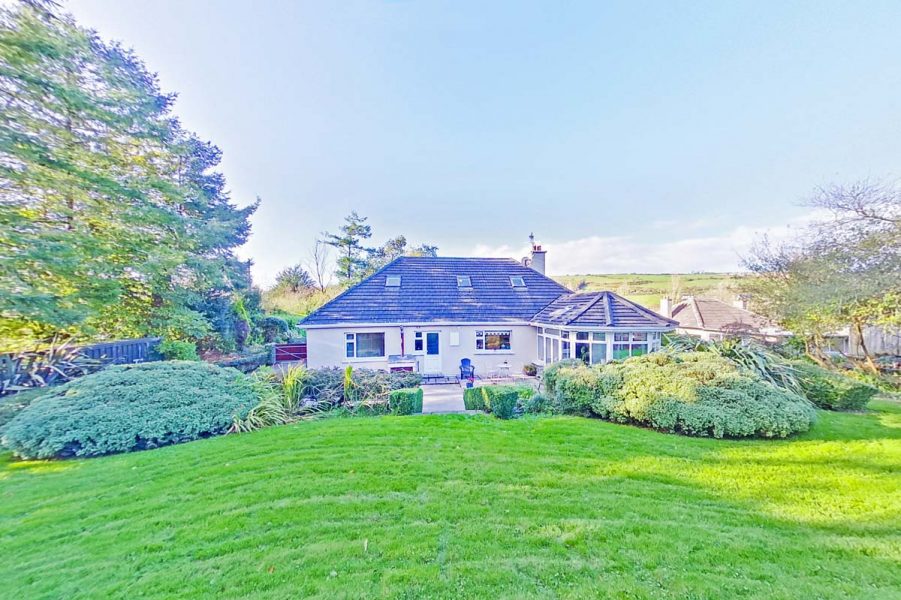 7_Back Garden