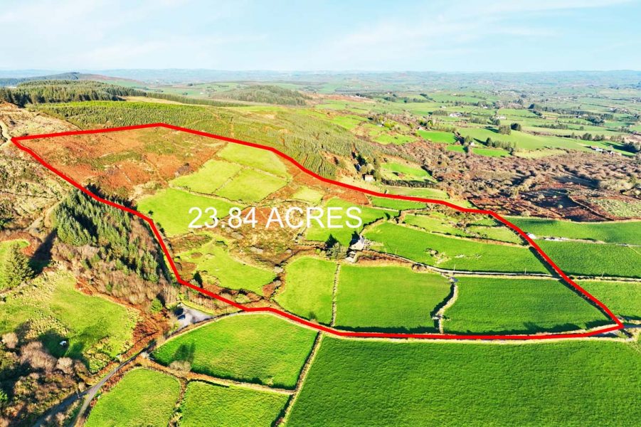 9_Carrigfadda 23.84 Acres